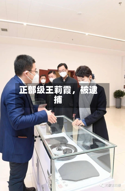 正部级王莉霞，被逮捕-第3张图片