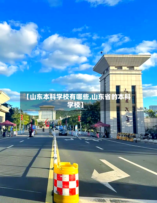 【山东本科学校有哪些,山东省的本科学校】