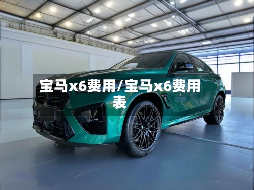 宝马x6费用/宝马x6费用表-第2张图片