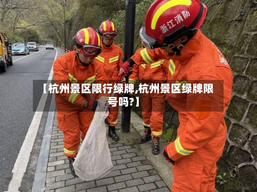 【杭州景区限行绿牌,杭州景区绿牌限号吗?】-第2张图片