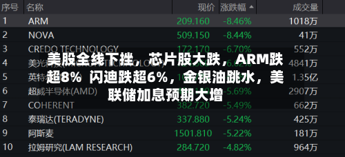 美股全线下挫，芯片股大跌	，ARM跌超8%  闪迪跌超6%，金银油跳水，美联储加息预期大增-第3张图片