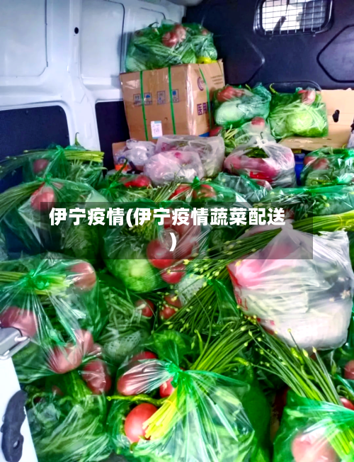 伊宁疫情(伊宁疫情蔬菜配送)-第2张图片