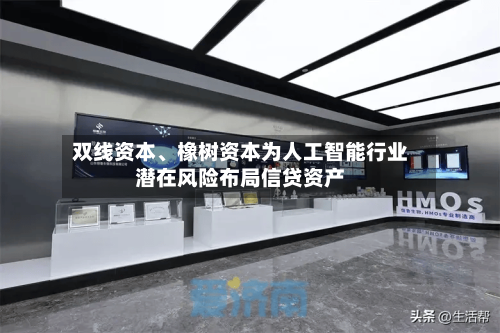 双线资本	、橡树资本为人工智能行业潜在风险布局信贷资产-第2张图片