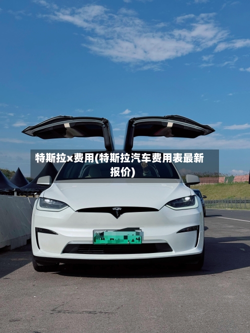 特斯拉x费用(特斯拉汽车费用表最新报价)-第2张图片