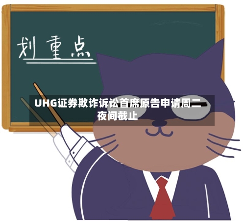 UHG证券欺诈诉讼首席原告申请周二夜间截止