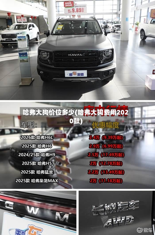 哈弗大狗价位多少(哈弗大狗费用2020款)-第3张图片
