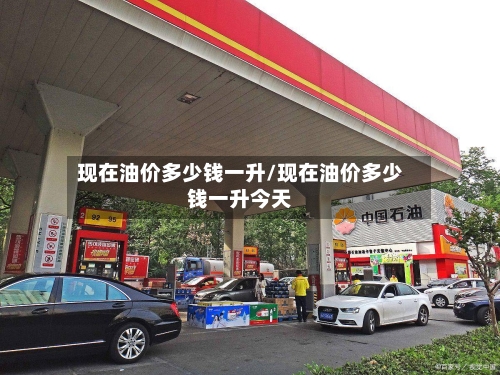 现在油价多少钱一升/现在油价多少钱一升今天-第2张图片