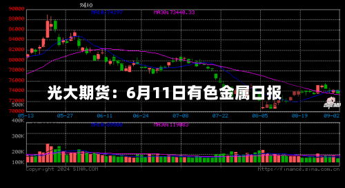 光大期货：6月11日有色金属日报-第3张图片