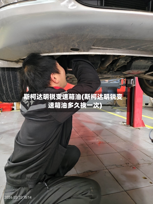 斯柯达明锐变速箱油(斯柯达明锐变速箱油多久换一次)