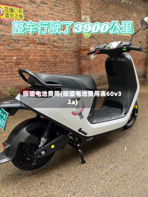 振盟电池费用(振盟电池费用表60v32a)-第3张图片